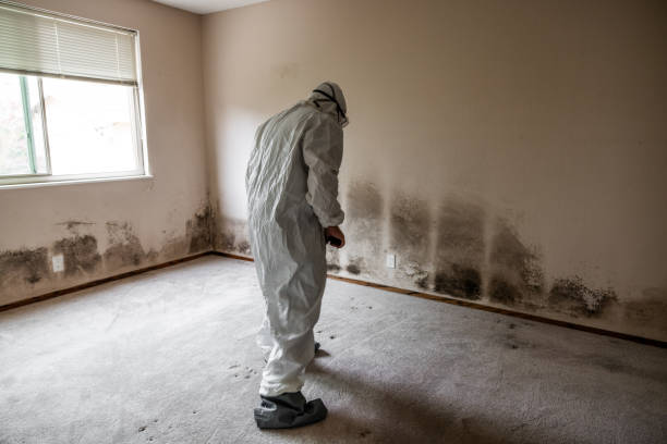 Mold Removal for HVAC Installations in Tilton Northfield, NH